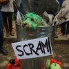 Photos: Which Dog Was The Best Dog At The Great PUPkin Halloween Dog Parade?